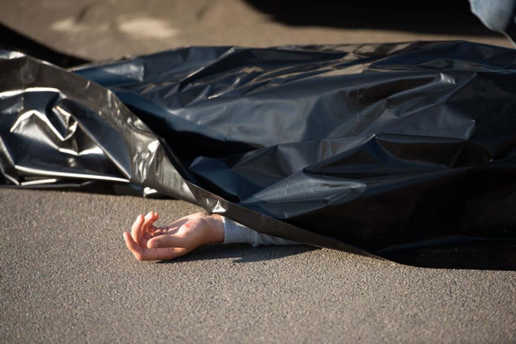 close up view of corpse on road after traffic coll 2022 12 16 17 39 34 utc 1024x683