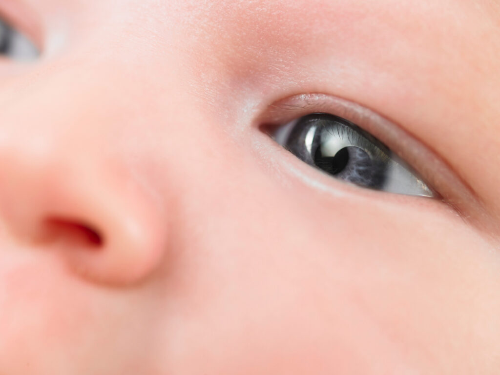close up of baby s eye 2022 03 08 00 17 31 utc 1024x769