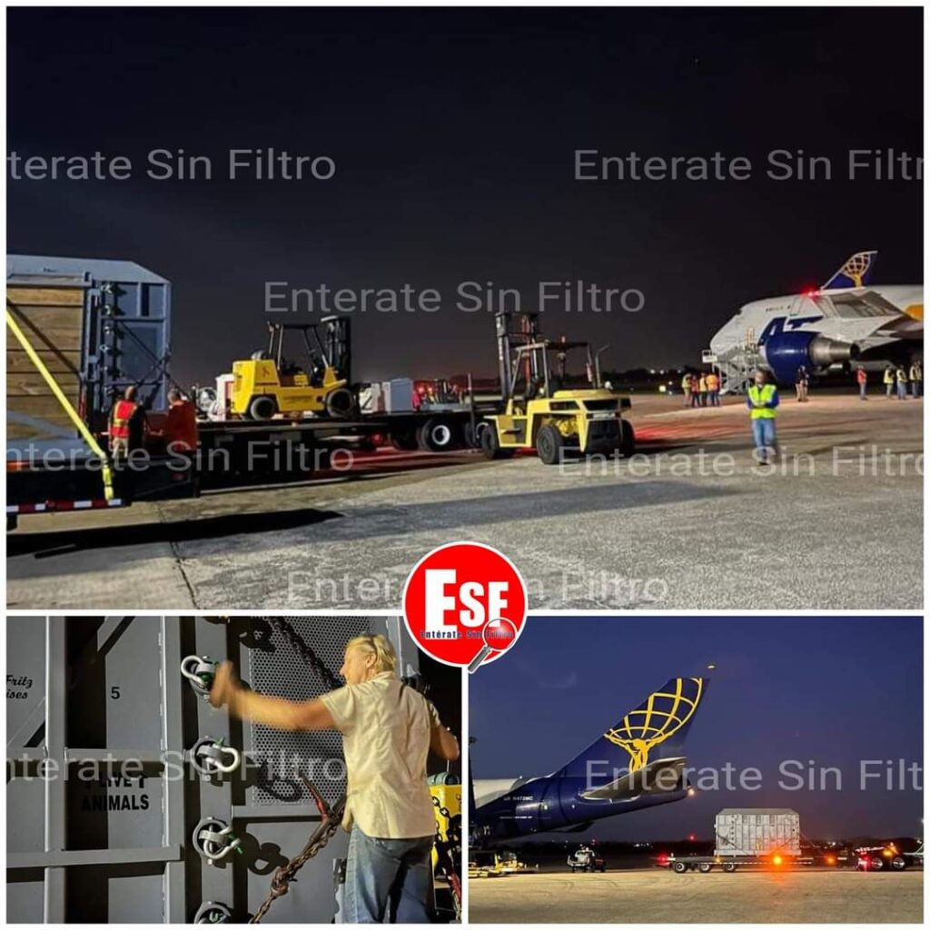 FB IMG 1683907318163
