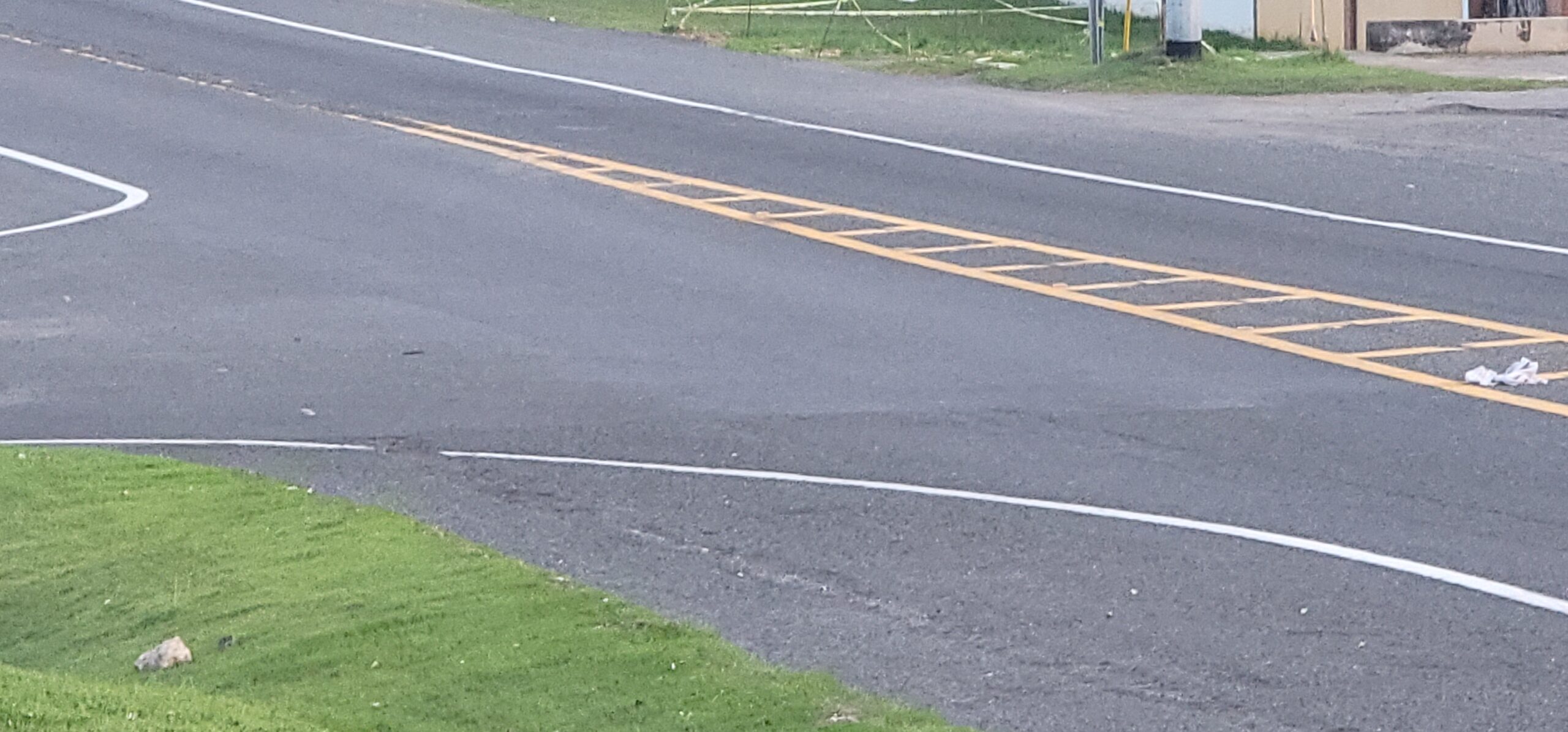 20240727 185151 scaled