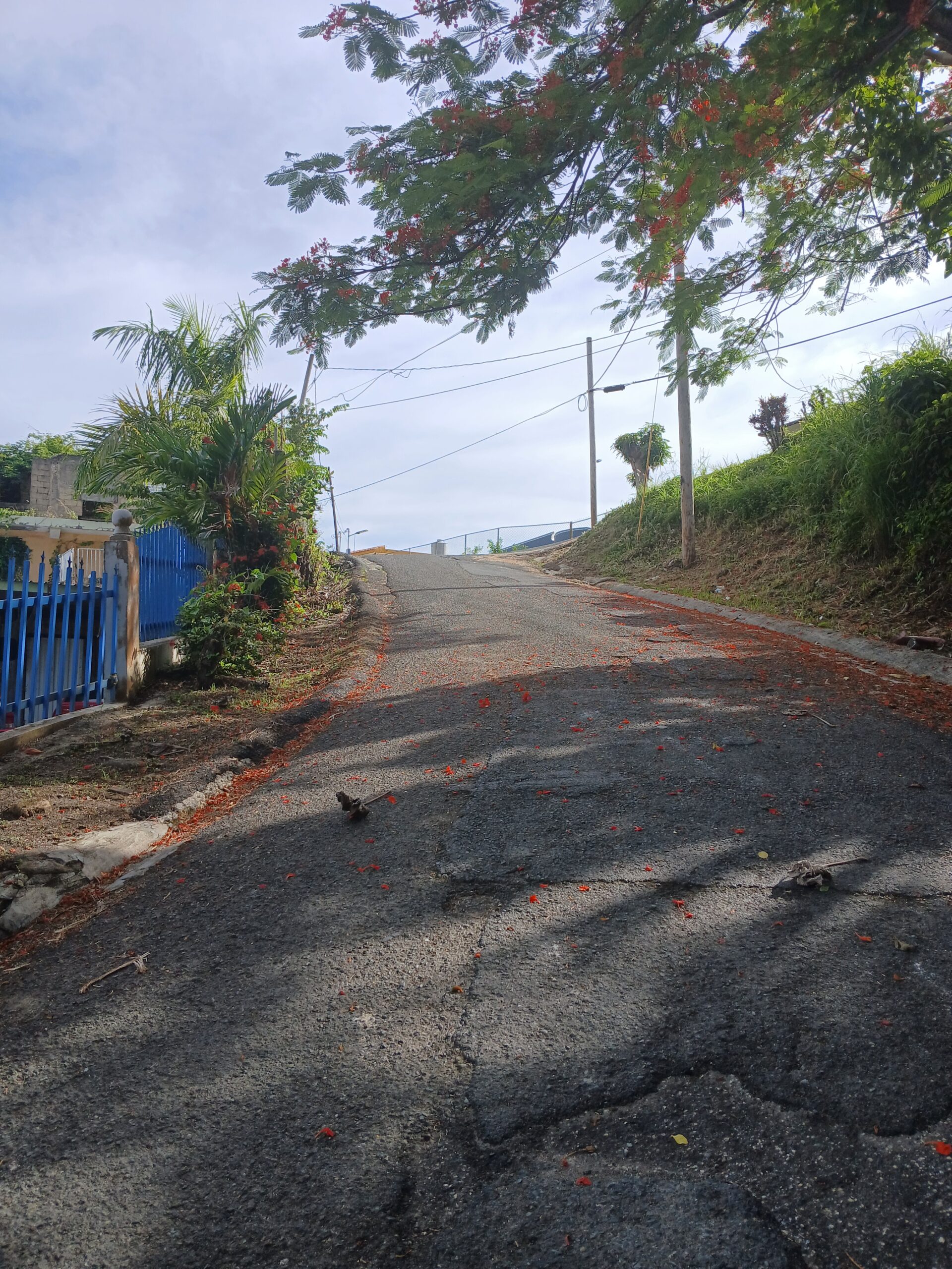 20240728 084752 scaled