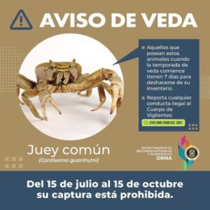 FB IMG 1720185455123