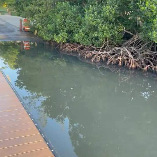 FB IMG 1720874914168