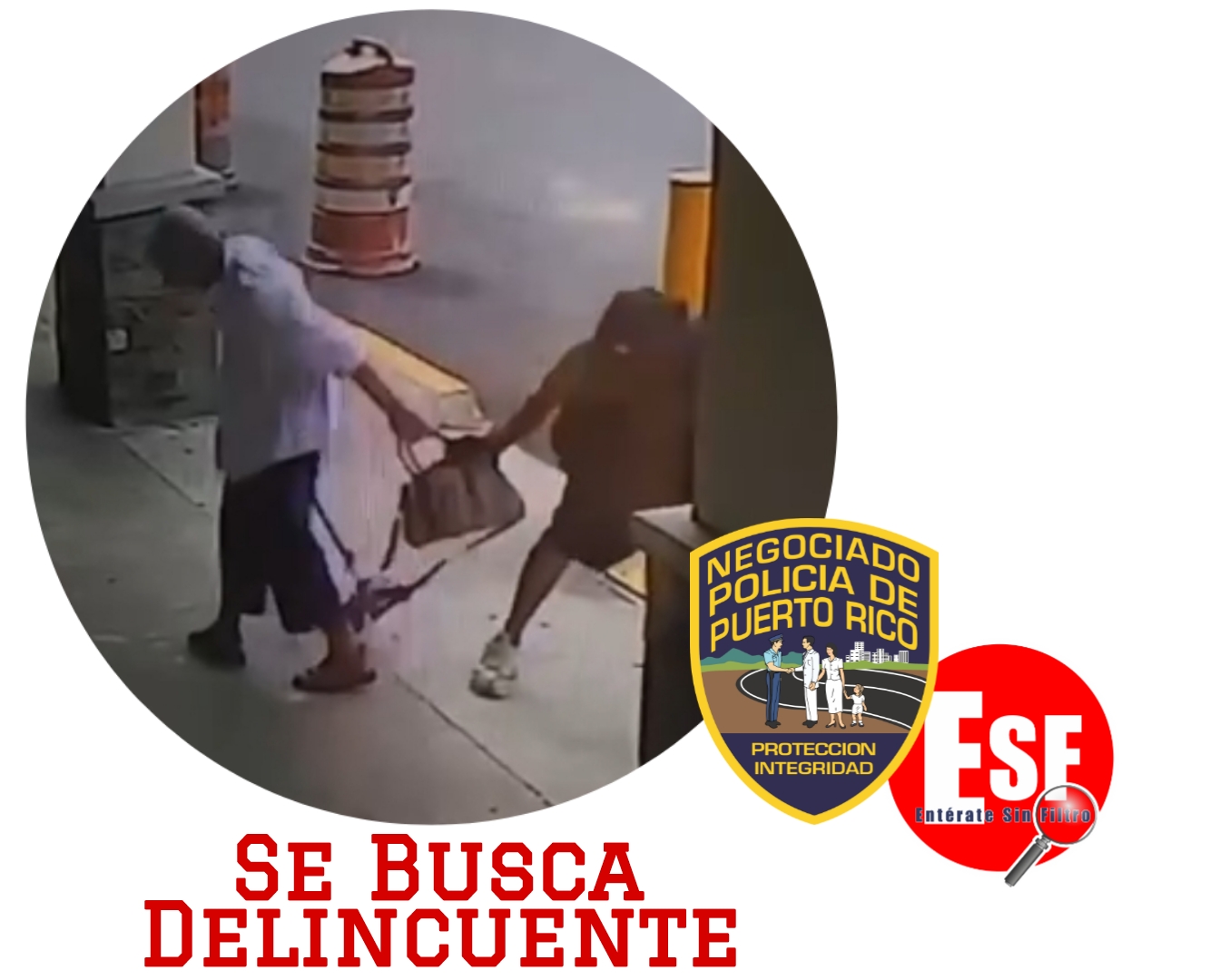 Picsart 24 07 17 17 09 13 029