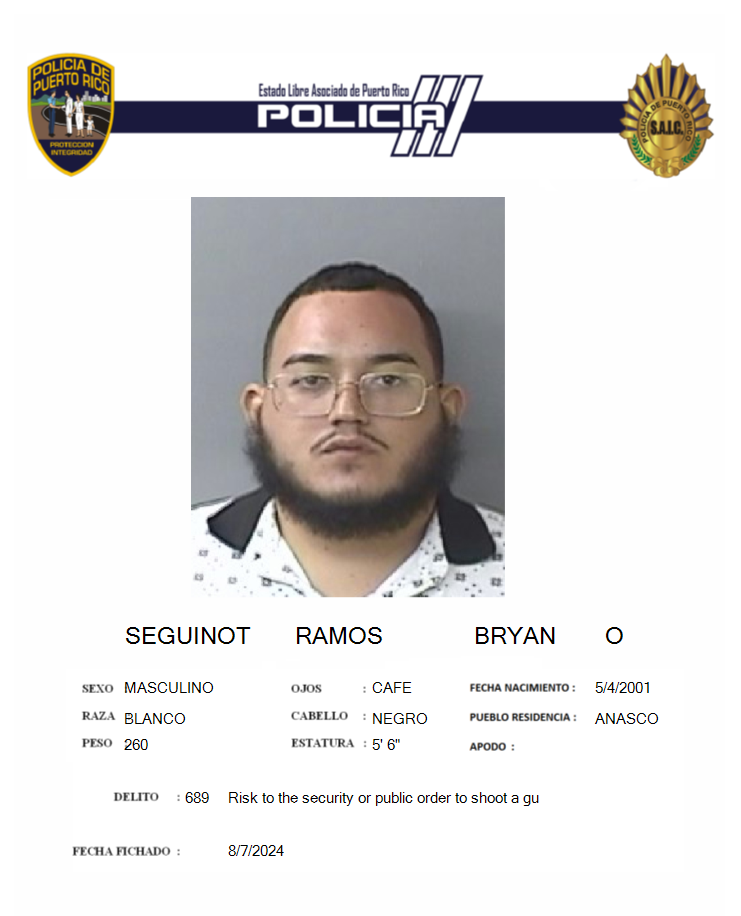 Bryan O. Seguinot Ramos