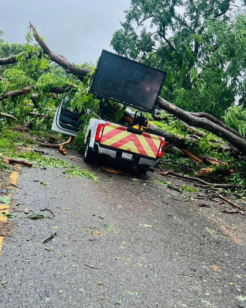 caida arbol guagua metropistas