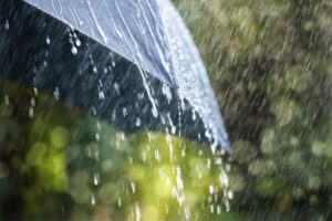 rain on umbrella 2023 11 27 05 24 34 utc scaled