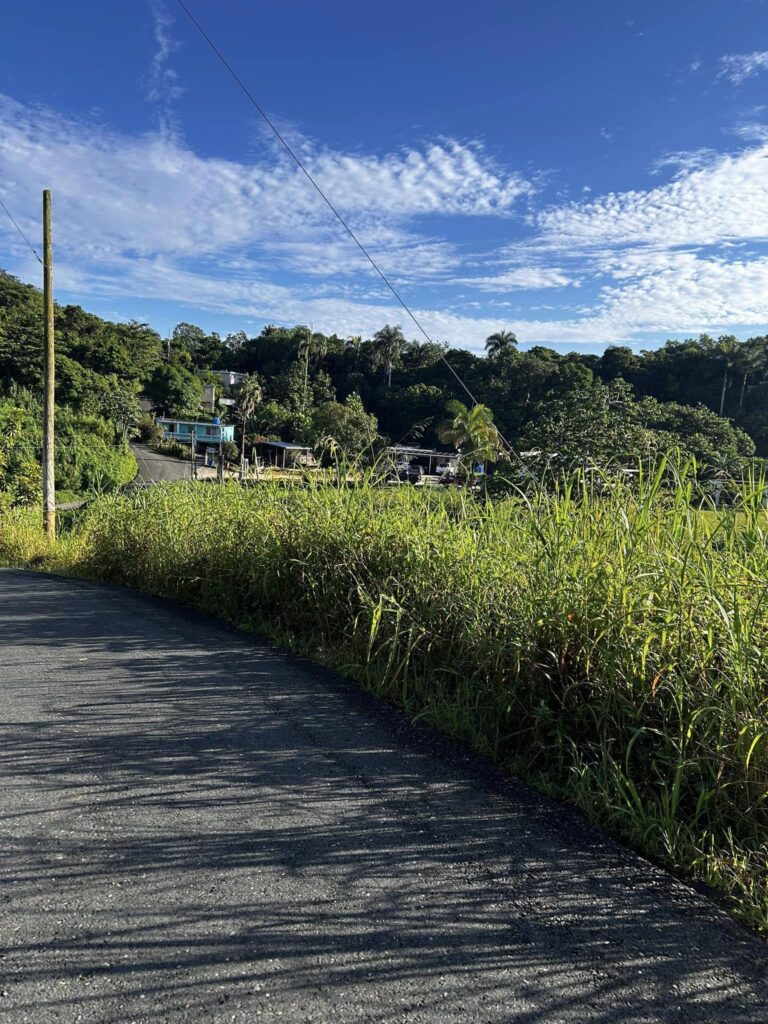 Denuncia condiciones areas verdes lares