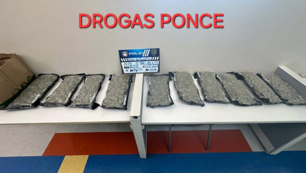 EVIDENCIA INCAUTACION 20 LIBRAS DE MARIHUANA