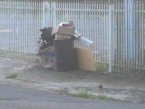 IMG 1214