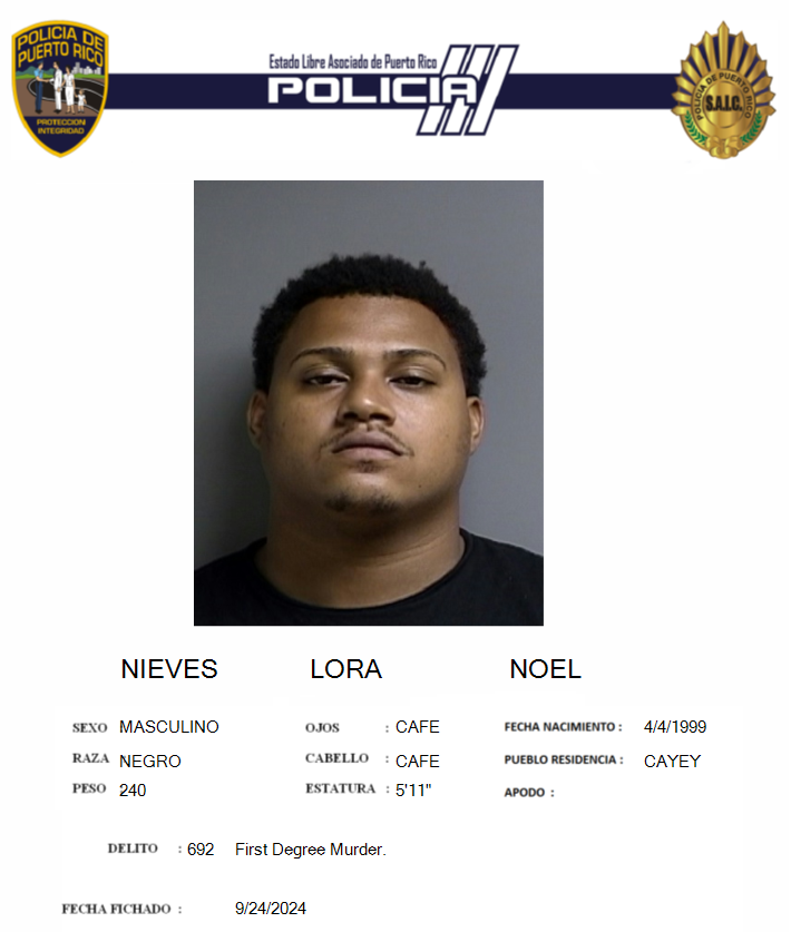 Noel Nieves Lora