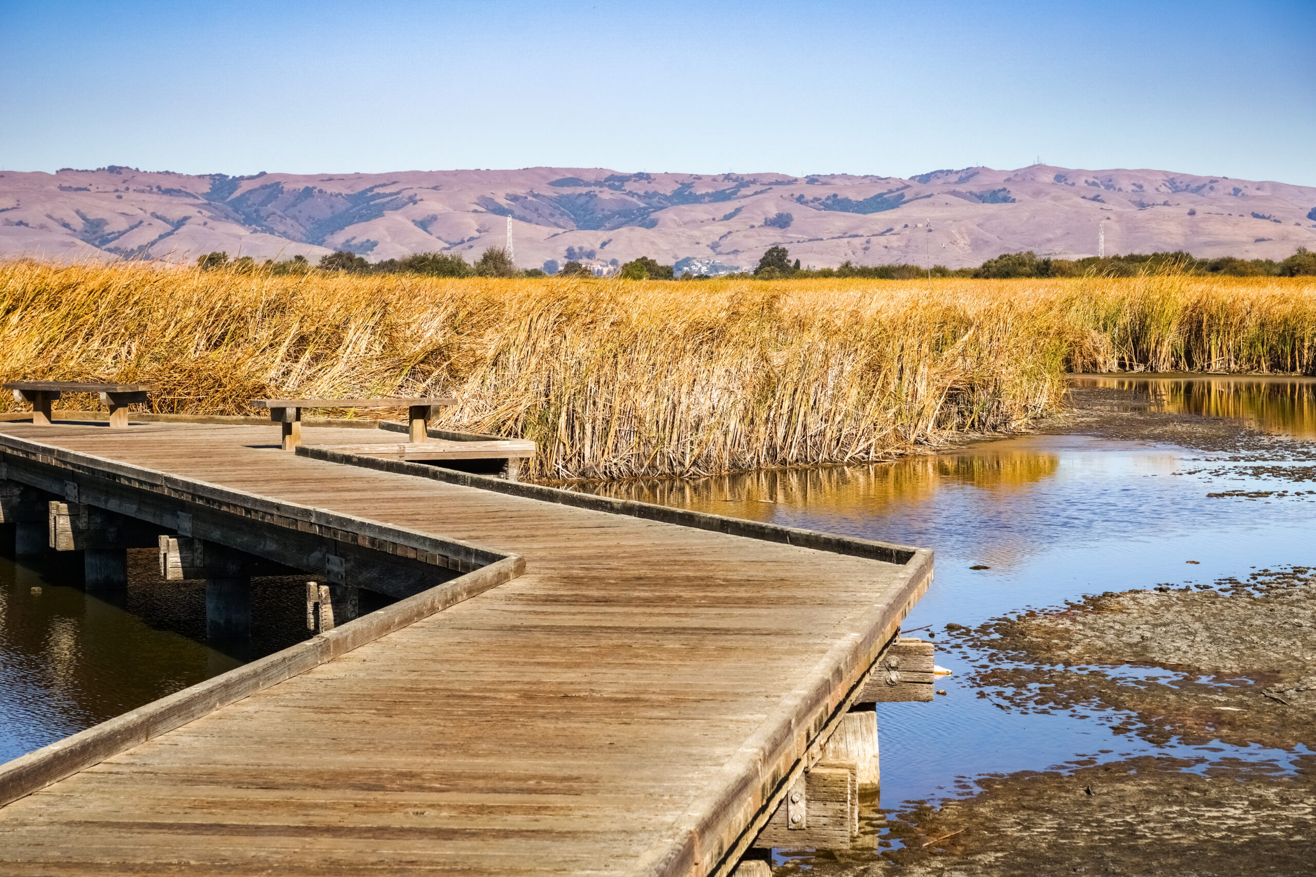boardwalk going through wetlands 2023 11 27 05 02 39 utc 1 scaled