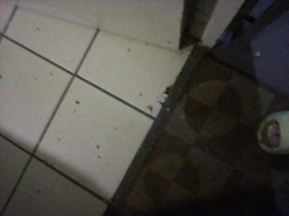 rayo impacta residencia 3 1