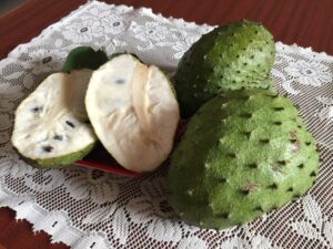 soursop fruits 2023 11 27 05 17 09 utc scaled