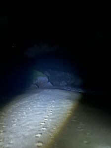 IMG 20241003 WA0197