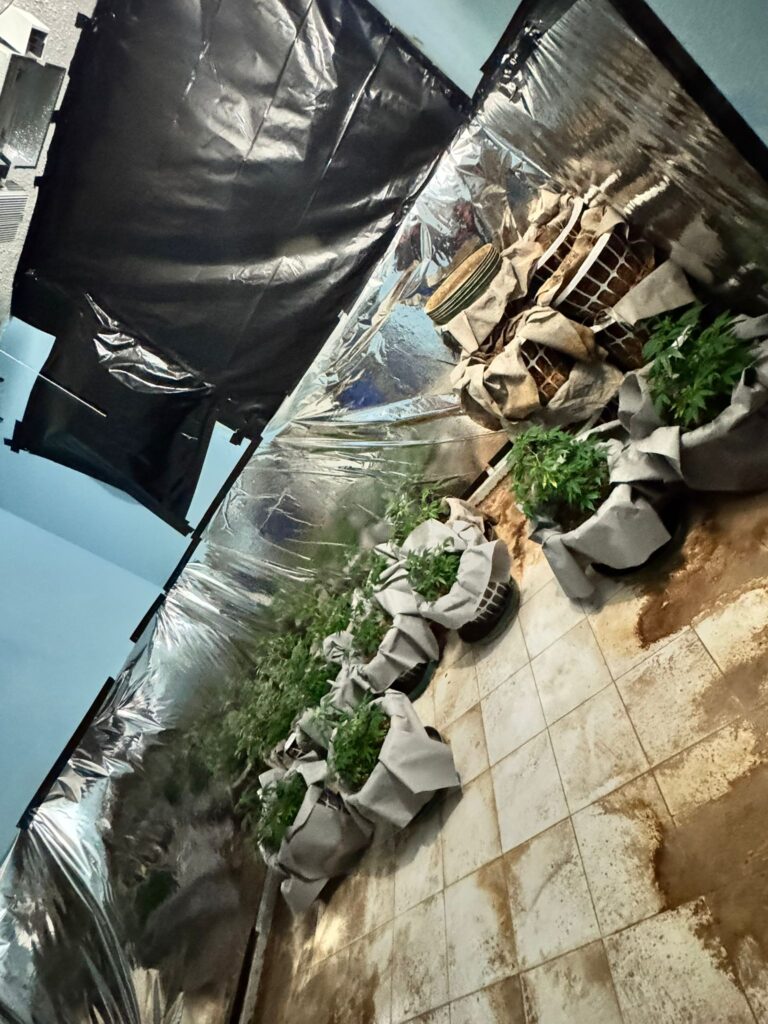 IMG 20241004 WA0052