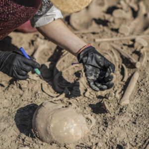 archaeological excavations ancient human skeleto 2024 10 20 21 51 55 utc scaled