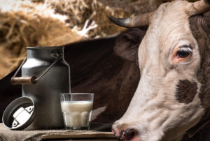 close up view of fresh milk in glass and can and b 2023 11 27 05 35 14 utc 1 scaled