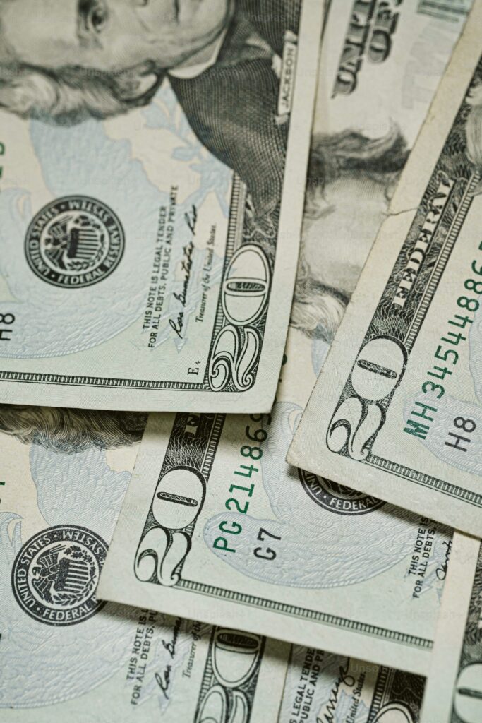dinero scaled
