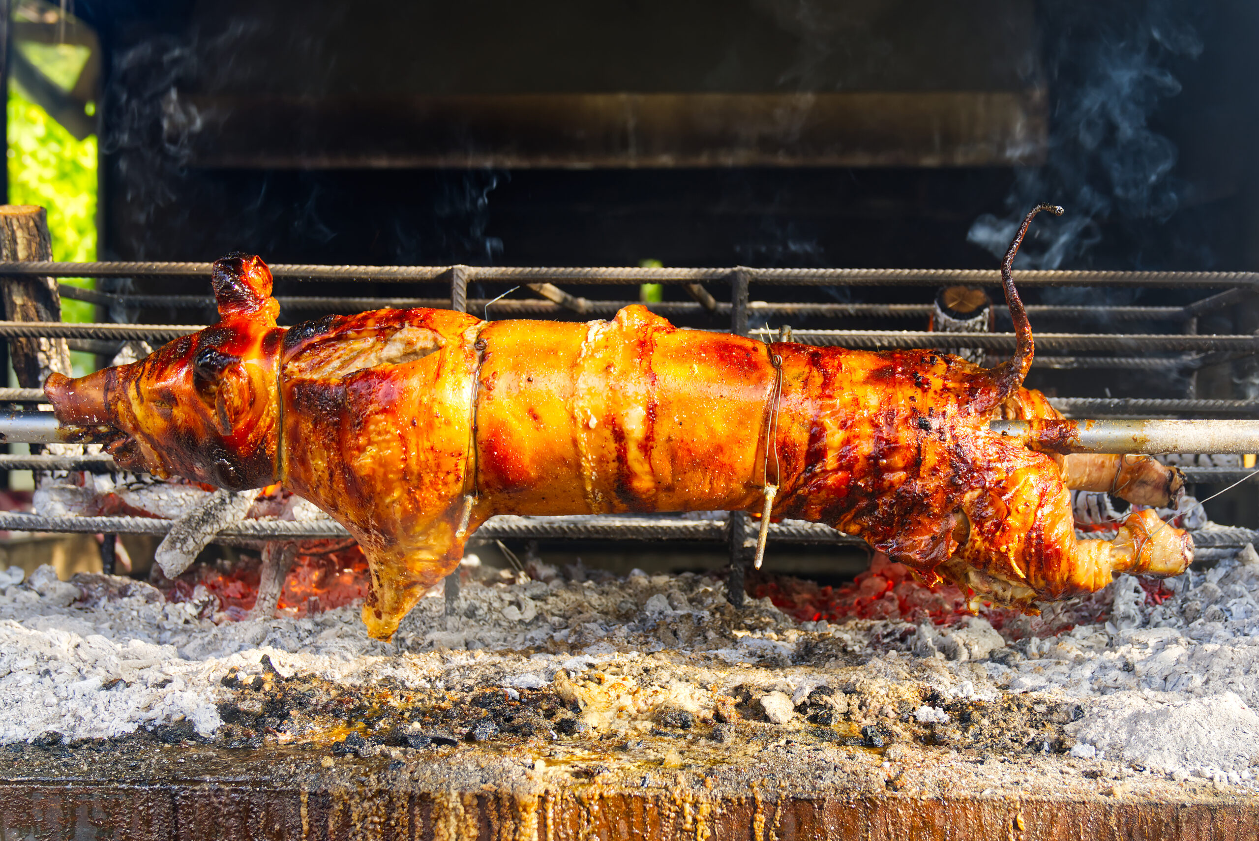 whole pig spit roasted pig roasted on a barbecue 2023 11 27 05 26 16 utc scaled