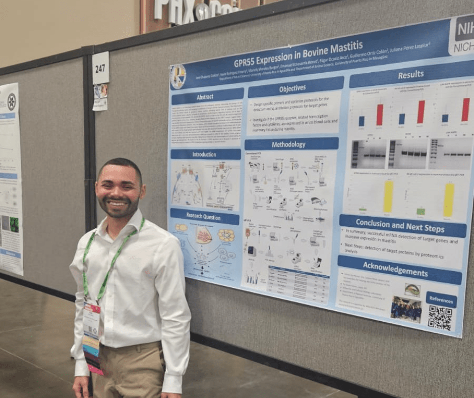 El estudiante Jose Chaparro presentando su investigación en la SACNAS 2024