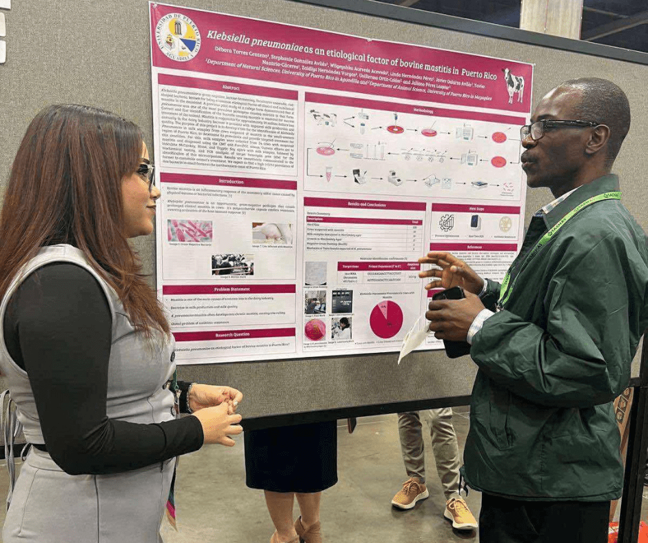 La estudiante Debora Torres presentando su investigación en la SACNAS 2024