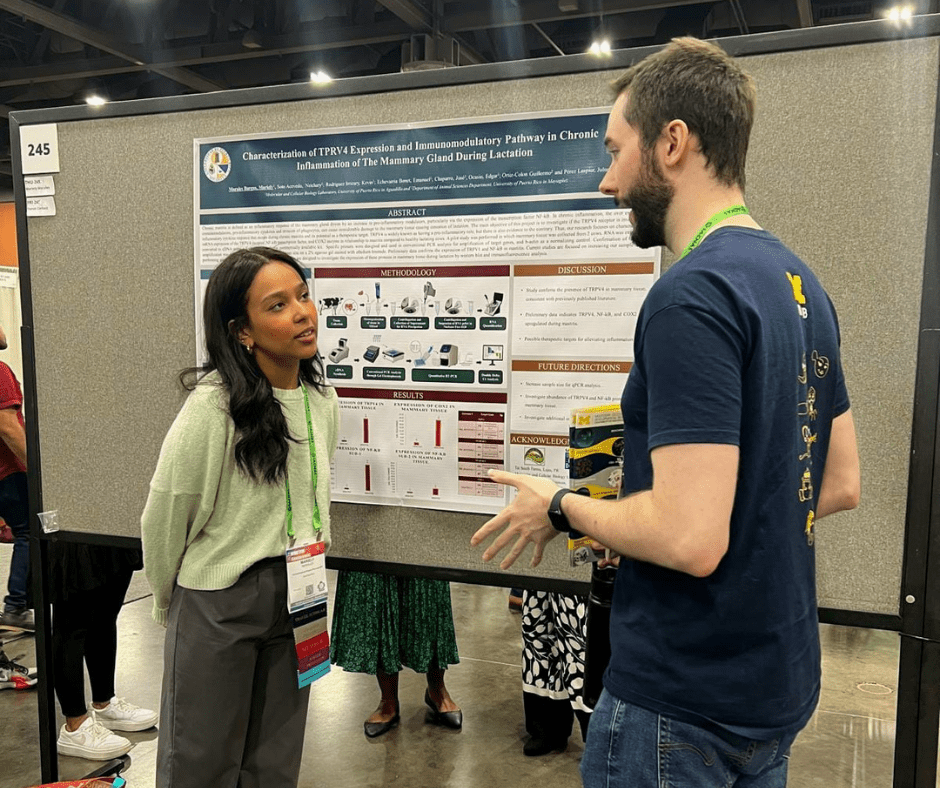 La estudiante Mariely Morales presentando su investigación en la SACNAS 2024