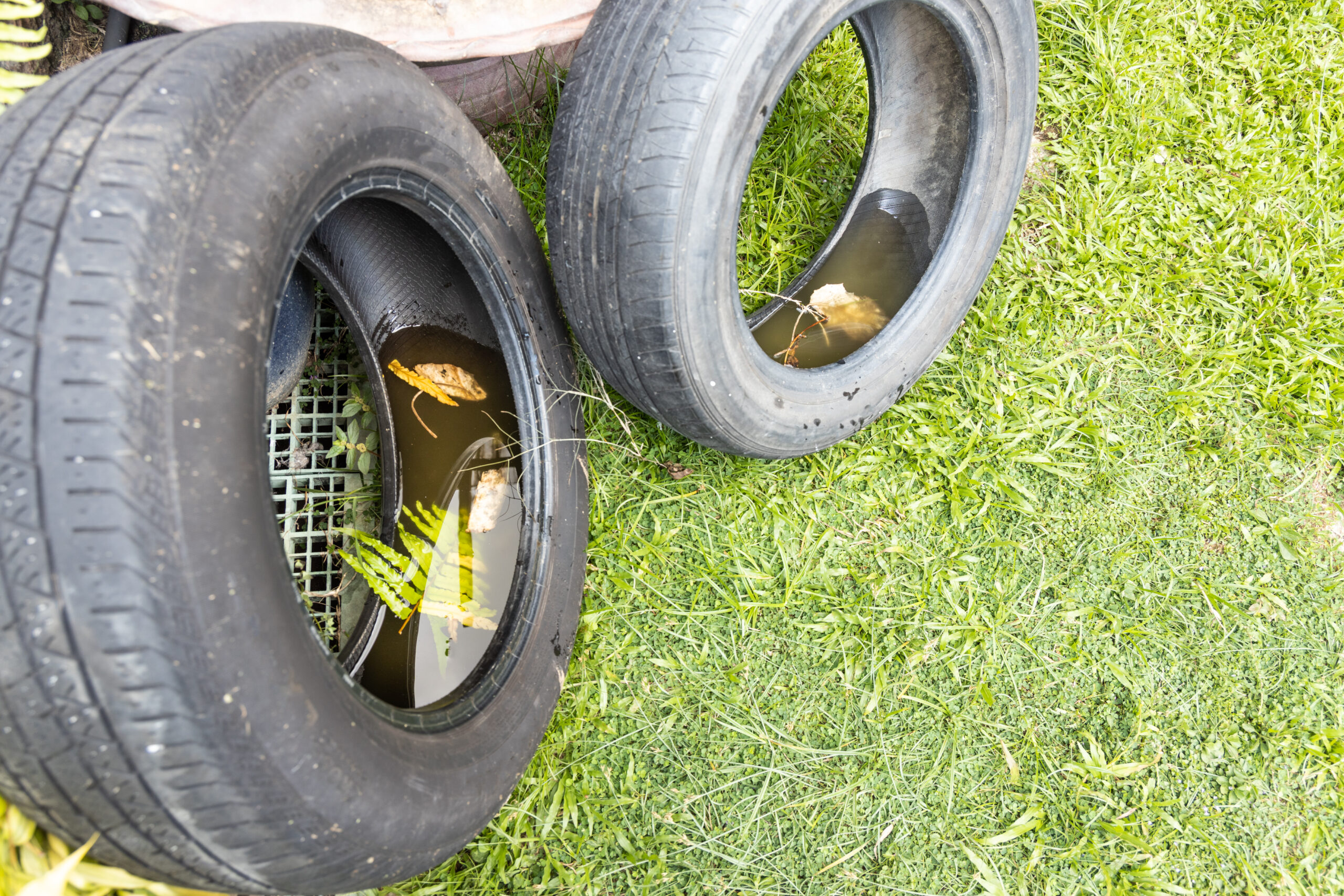 abandoned tyre outdoor with still water from rain 2023 11 27 05 33 42 utc scaled