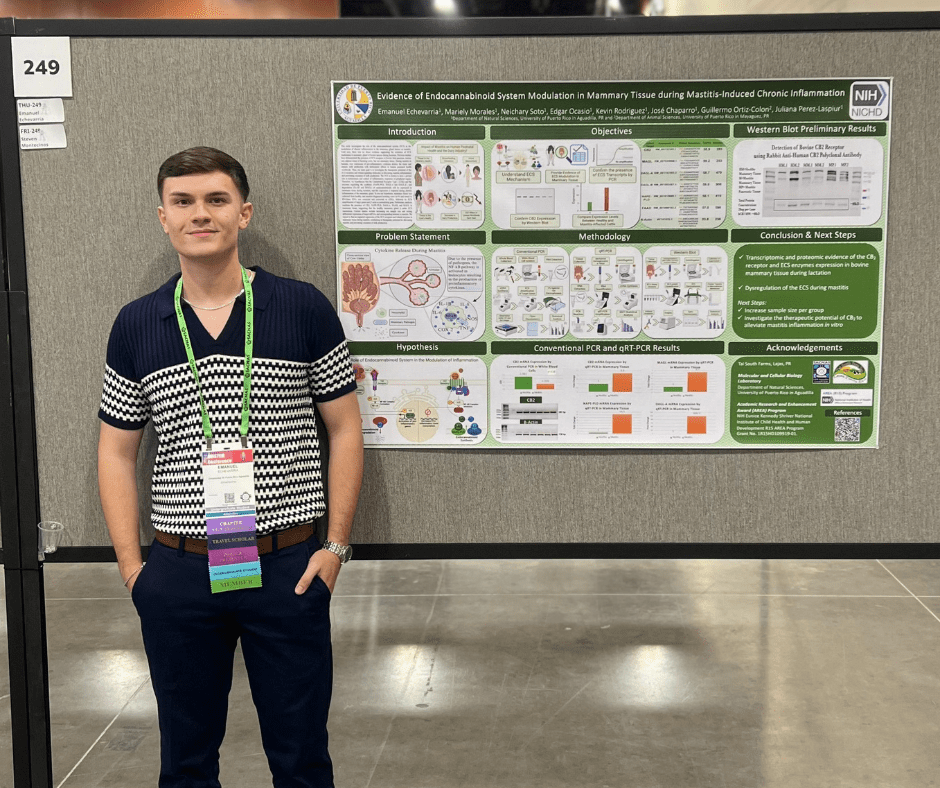 el estudiante Emanuel Echevarria presentando su investigación en la SACNAS 2024