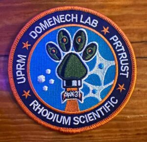 uprm domenech lab