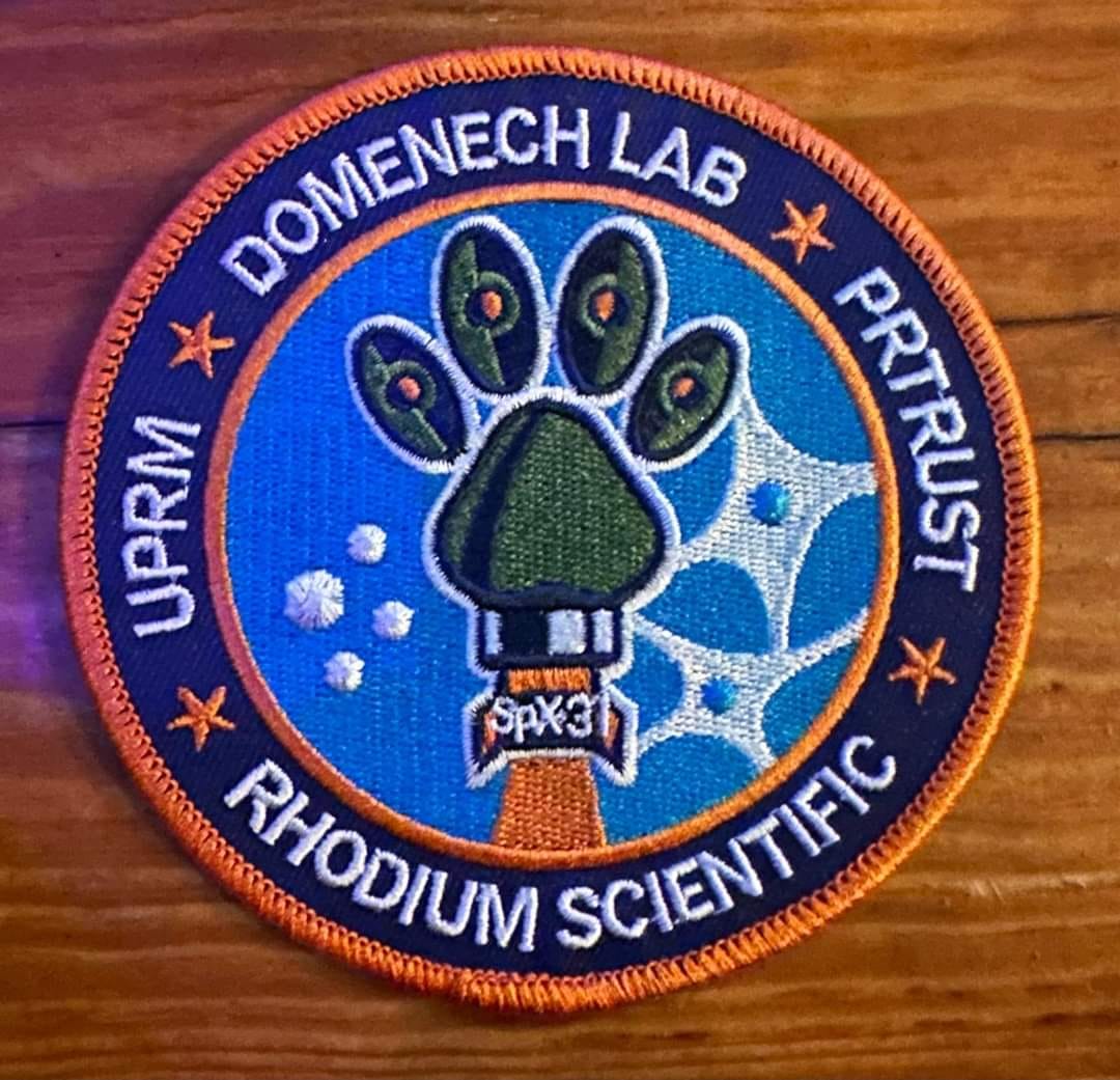 uprm domenech lab